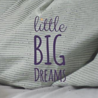 Little Big Dreams